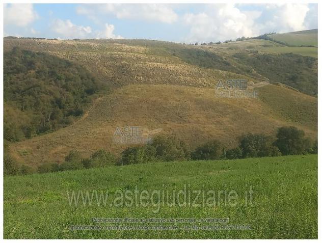IMMOBILI-ALTRA CATEGORIA-Via Caselle, Mondaino RN, Italia - Foto 6