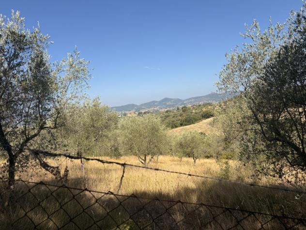 Agricolo in Vocabolo Cibottola - Foto 4