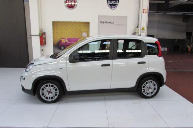 FIAT Panda 1.0 FireFly S&S Hybrid rif. 24216237 - Foto 5
