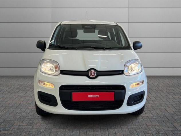FIAT Pandina Pandina Pop rif. 23484115 - Foto 2