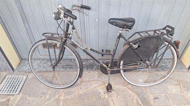 Bicicletta da donna