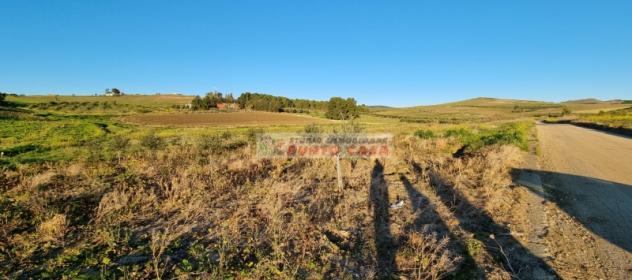 NAPOLA – Terreno di 23.000 mq ca. Euro 68 MILA - Foto 8