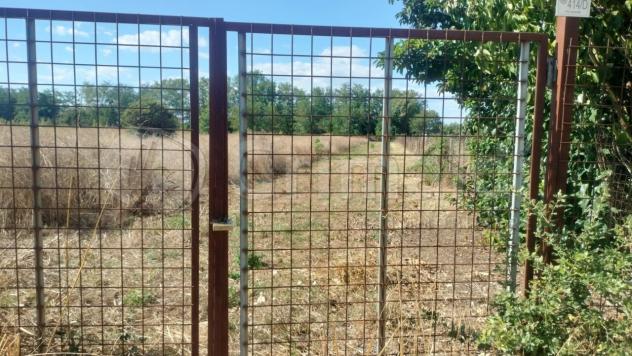 Prato in affitto a Giugliano in Campania - Foto 4