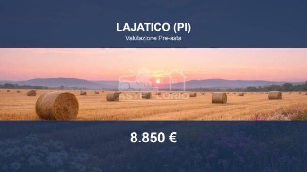 Immobile in asta di 32360 m² in vendita a Lajatico