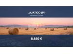Immobile in asta di 32360 m² in vendita a Lajatico