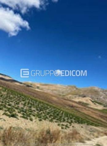 Terreno di 118260 mq in vendita a Monreale - Rif. 4552644 - Foto 5
