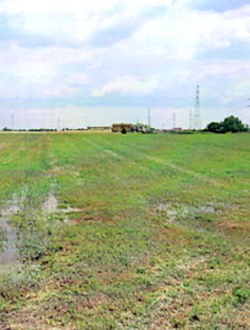 VERDERIO: TERRENO agricolo - Foto 8