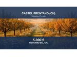 Immobile in asta di 1040 m² in vendita a Castel Frentano