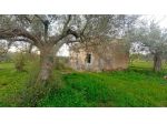 Rustico in vendita a Chiaramonte Gulfi