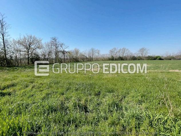Terreno in vendita a Corteolona e Genzone - Rif. 4556803
