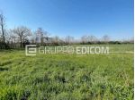 Terreno in vendita a Corteolona e Genzone - Rif. 4556803