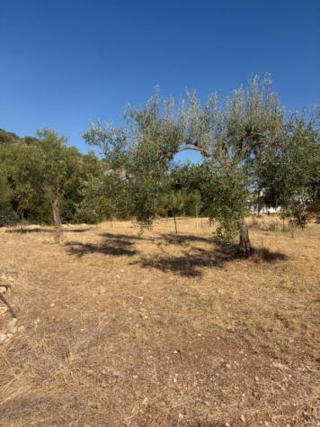 Terreno agricolo di 3 ettari a 4 km da Floridia - Foto 4