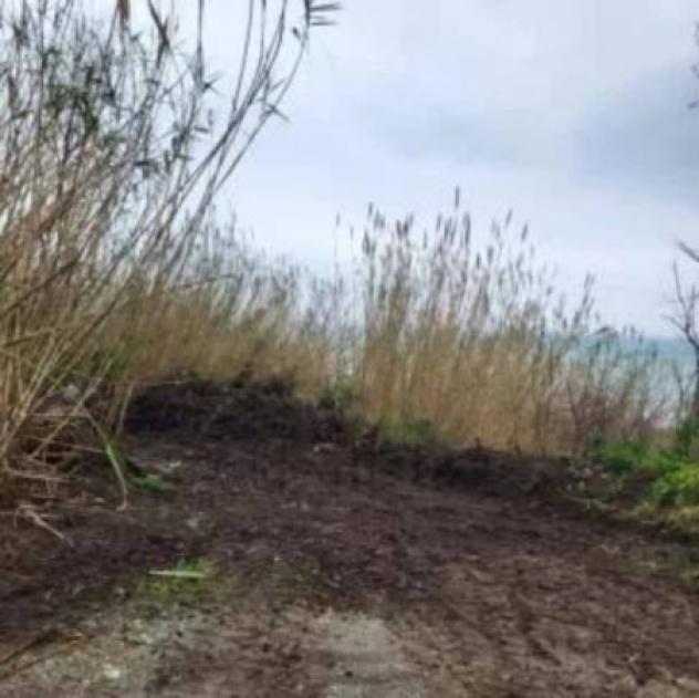 Immobile in asta di 2090 m² in vendita a Fuscaldo - Foto 2