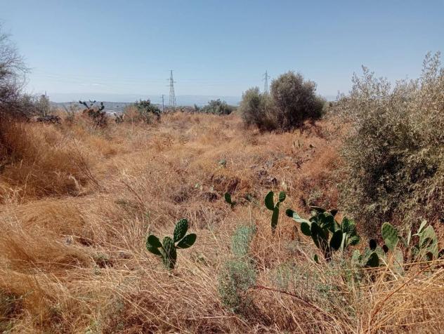 Terreno Agricolo - Belpasso . Rif.: 33367 - Foto 4