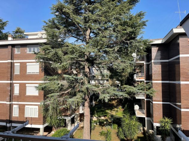 Panoramico ultimo piano nel cuore verde di Nuovo Salario - Foto 9