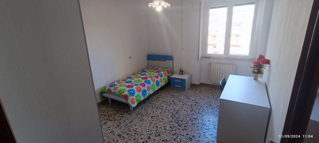 Camera singola ristrutturata a studentessa