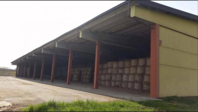 Immobile in asta di 48190 m² in vendita a Camisano - Foto 7