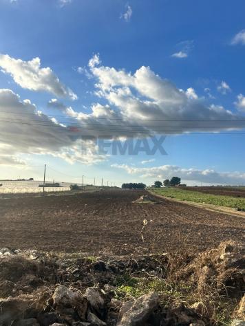 Terreno in vendita a Noto - Foto 4