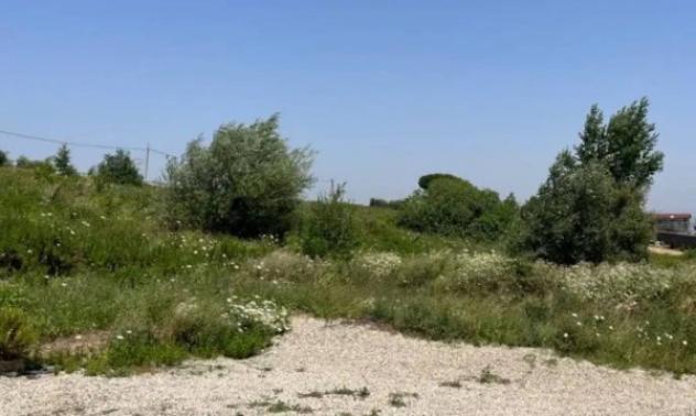 Immobile in asta di 6000 m² in vendita a San Giorgio del Sannio - Foto 2