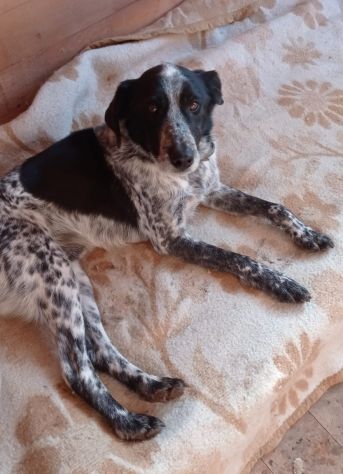 Bons 12anni,8anni di lager kg12 nessuno lo nota.LAZIO