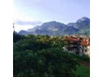 B&B Theresia