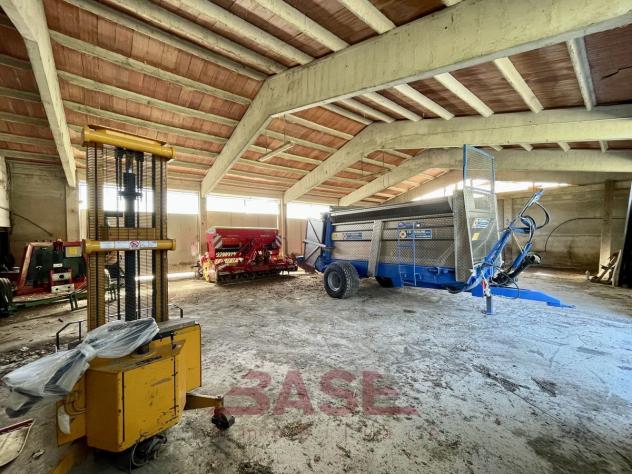 Azienda Agricola in vendita a Guardistallo - Foto 20