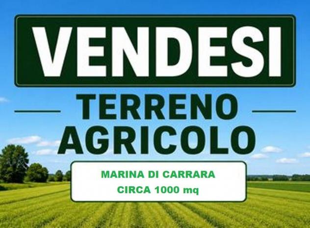 Terreno agricolo in vendita a Marina di Carrara - Carrara 1000 mq Rif: 1425452