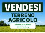 Terreno agricolo in vendita a Marina di Carrara - Carrara 1000 mq  Rif: 1425452