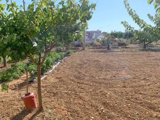 Terreno edificabile in vendita a Paceco - Foto 2