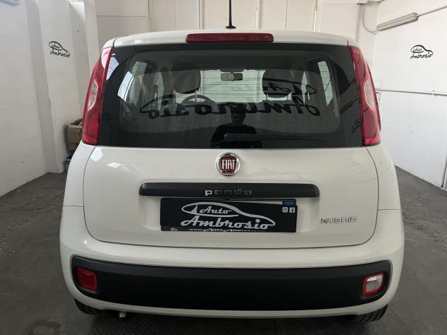 FIAT Panda Panda 1.0 hybrid Easy s&s 70cv - Foto 5