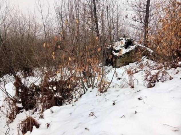 Immobile in asta di 21 m² in vendita a Roccaforte Mondovì - Foto 3
