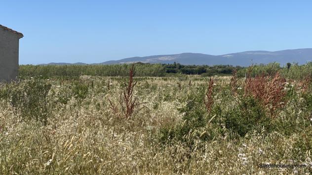 Màssama, Oristano, grande casale al grezzo con terreno di tre etttari - Foto 7