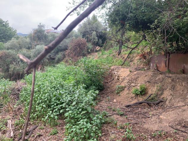 Terreno edificabile in vendita a Quiliano - Foto 14