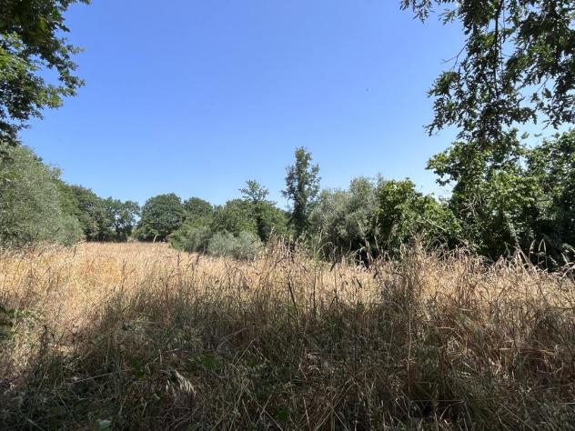 Nel comune di Sorano e precisamente nella frazione di San Giovanni delle Contee che dispone di servizi di prima necessità e dista circa 14 km da Soran - Foto 19