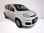 FIAT Panda 1.0 FireFly S&S Hybrid Pop rif. 23487575