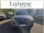 FORD Kuga 1.5 EcoBlue 120 CV aut. 2WD ST-Line rif. 24112417
