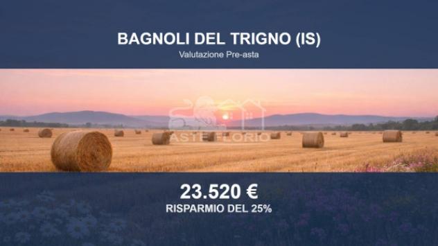 Immobile in asta di 30550 m² in vendita a Bagnoli del Trigno