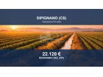 Immobile in asta di 8470 m² in vendita a Dipignano