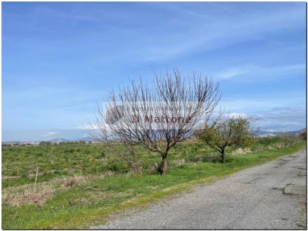 roma est terreno agricolo di 27 ettari - Foto 3