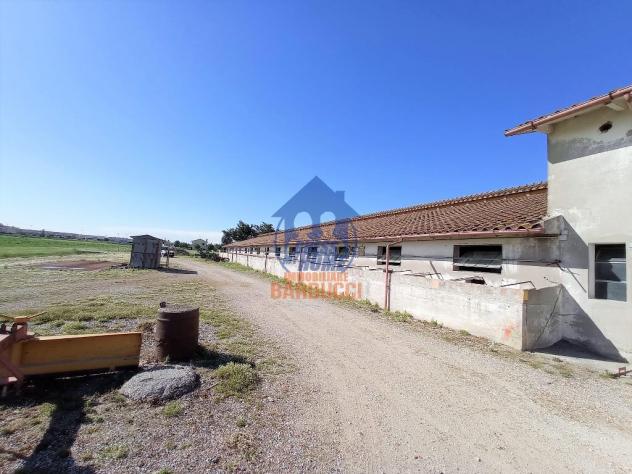 Cervia capannone con 2 ettari di terreno - Foto 4