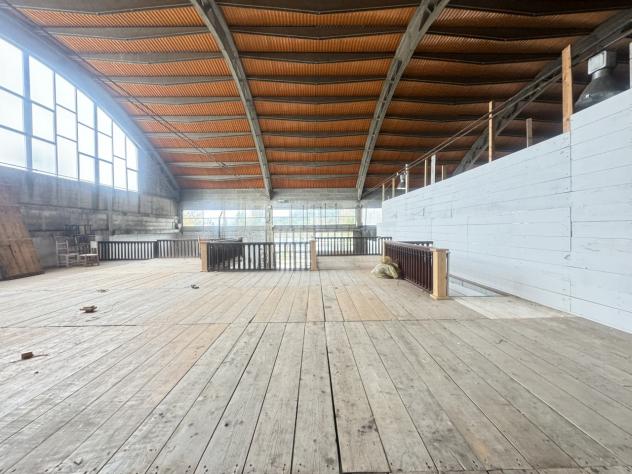 Magazzino in affitto a Pietrasanta - Foto 4