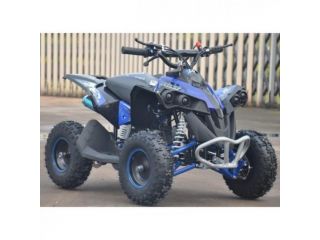 ALTRE MOTO O TIPOLOGIE Quad RENEGADE rif. 18870876