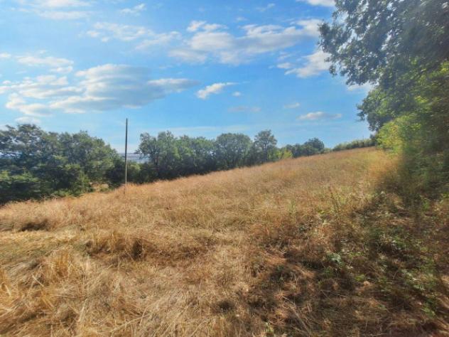 Immobile in asta di 3875 m² in vendita a Bevagna - Foto 8