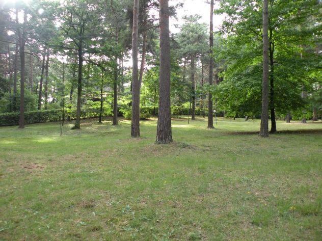 Ulti,o lotto edificabile in un bosco in tutta la Lombardia - Foto 2