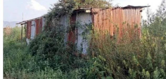 Immobile in asta di 403360 m² in vendita a Cittanova - Foto 6
