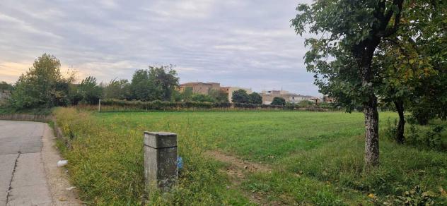Edificabile in campolongo - Foto 4