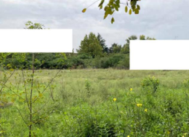 Immobile in asta di 49900 m² in vendita a Mantova - Foto 9