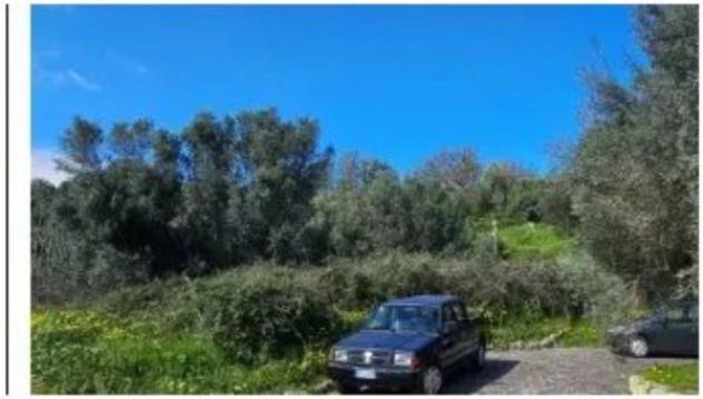 Immobile in asta di 5920 m² in vendita a Portigliola - Foto 3