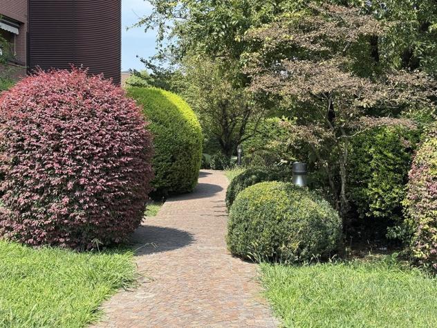 Monza San Biagio ampio quadrilocale con terrazzo in stabile signorile del 2006 - Foto 3