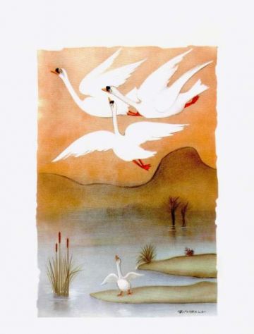 Novelle  G. C  Andersen - Foto 2